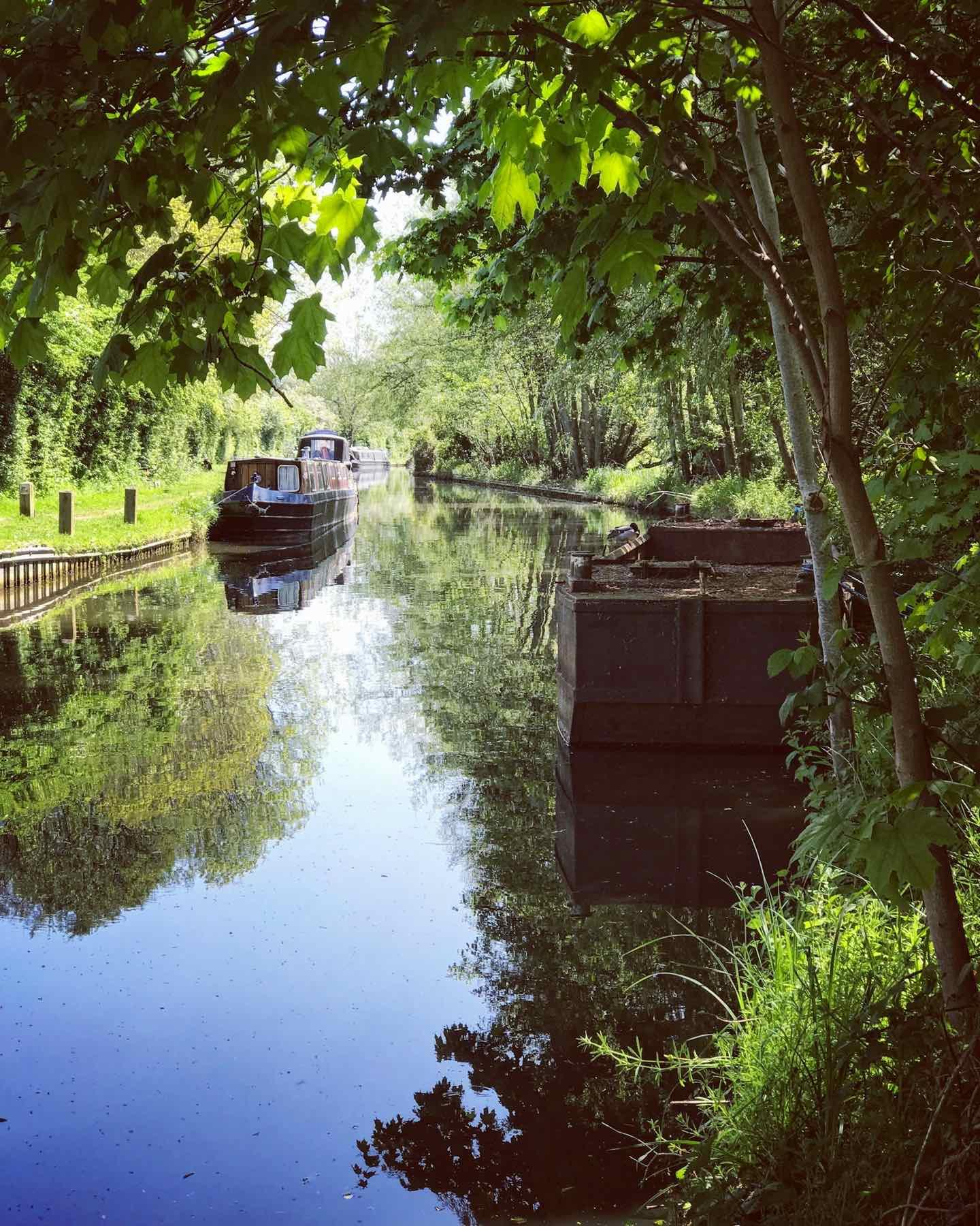 Narrowboats moored on a quiet canal under overhanging trees
